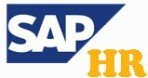 Best SAP HR training institute in pune